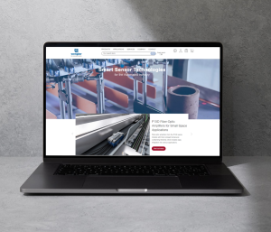 website wenglor